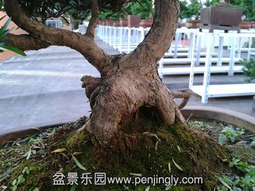 2013-10-13 16.07.32.jpg