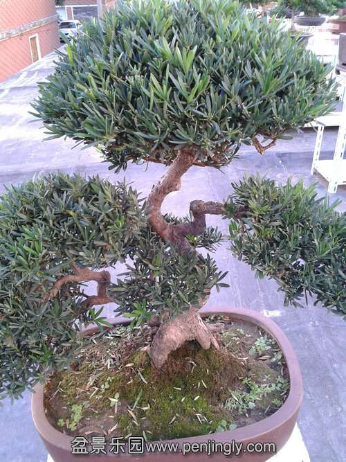 2013-10-13 16.07.46.jpg