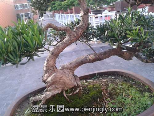 2013-10-13 16.11.01.jpg