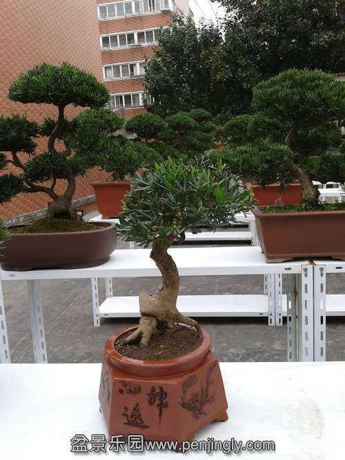 2013-10-25 14.11.28.jpg