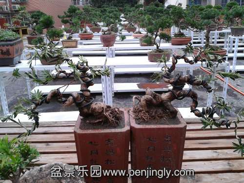 2013-10-31 13.54.15.jpg