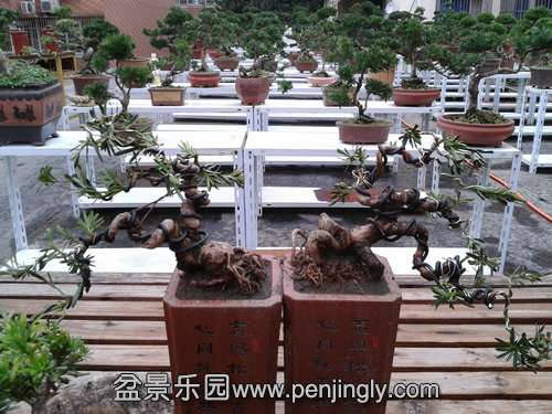 2013-10-31 13.54.26.jpg