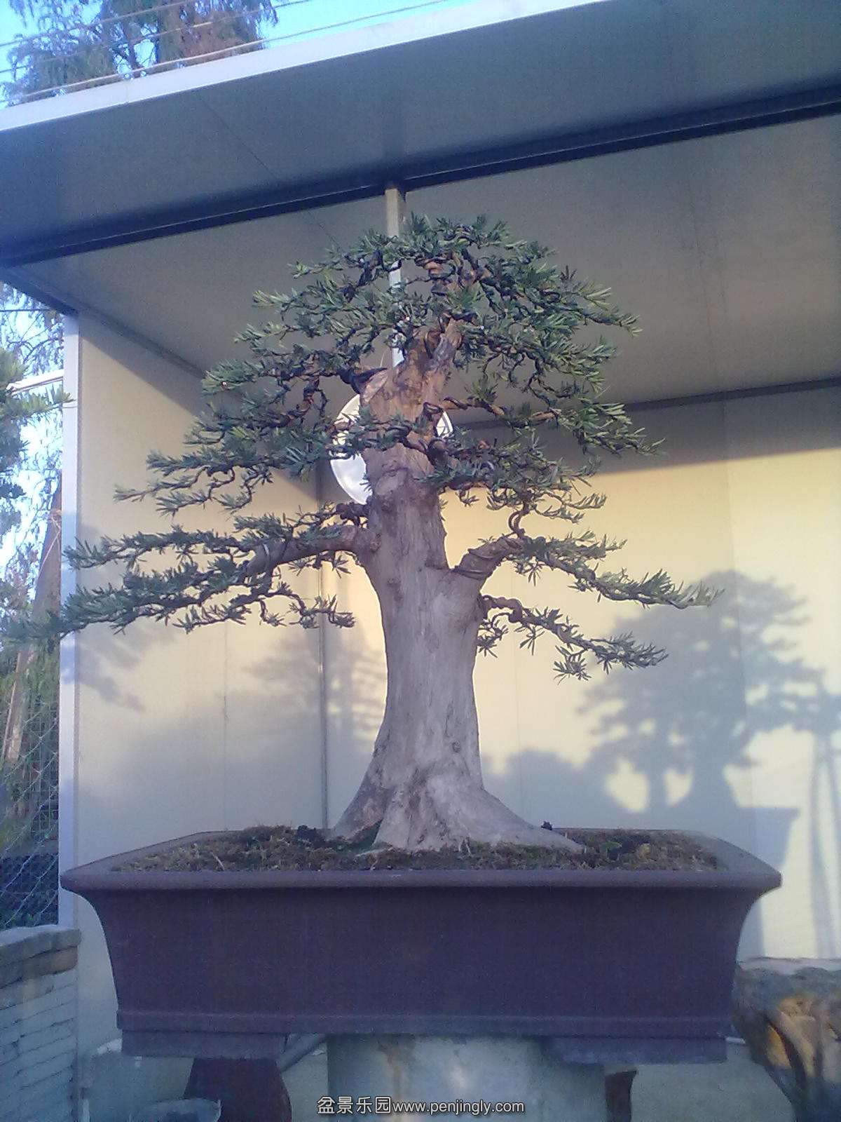 20131125769.jpg