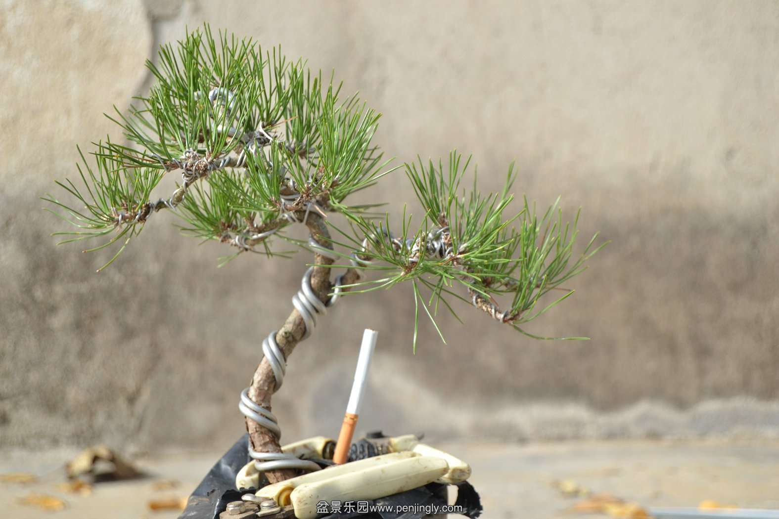 13-11-23СƷ 054.jpg