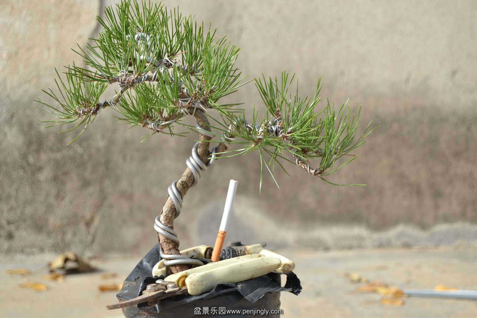 13-11-23СƷ 055.jpg