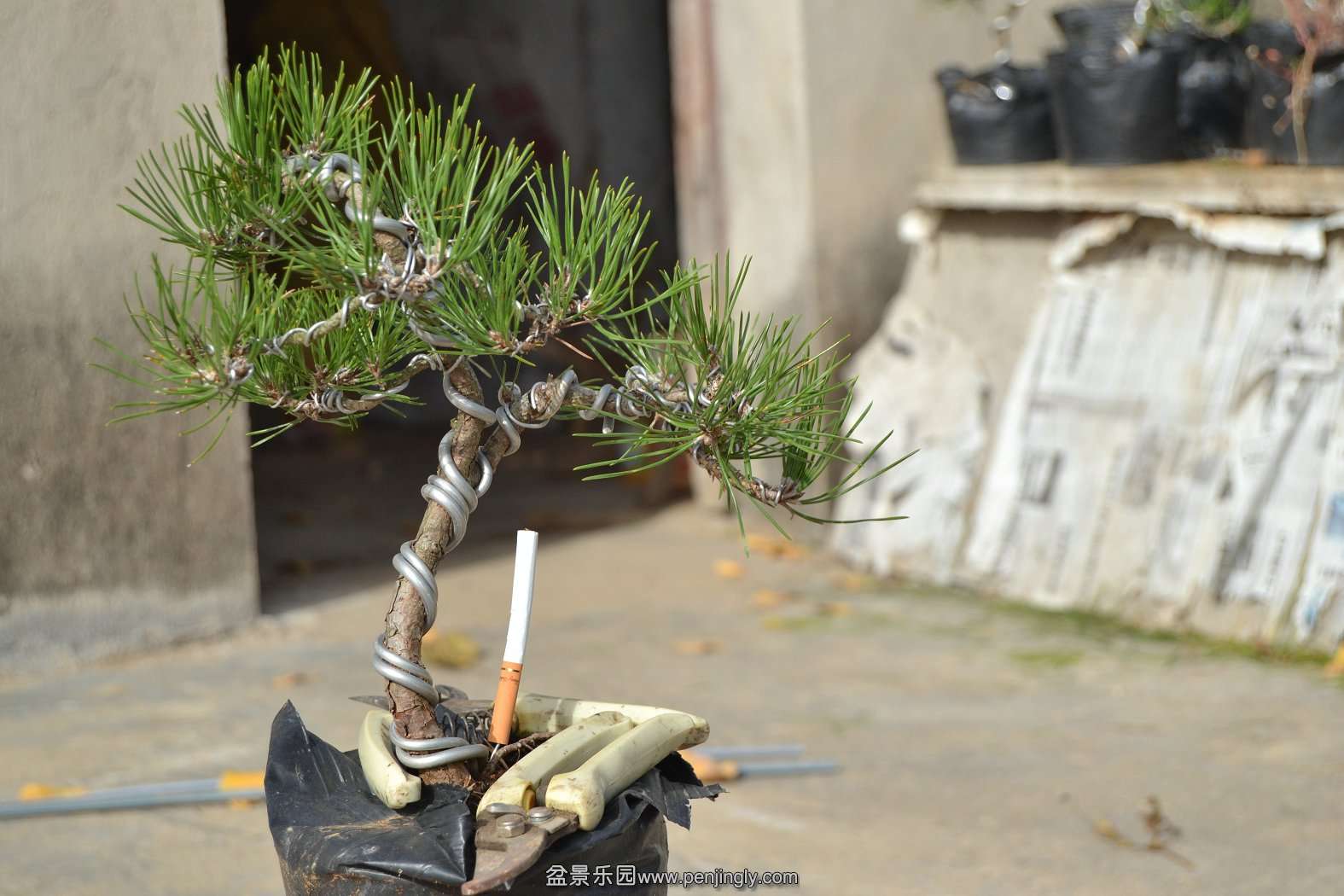 13-11-23СƷ 056.jpg