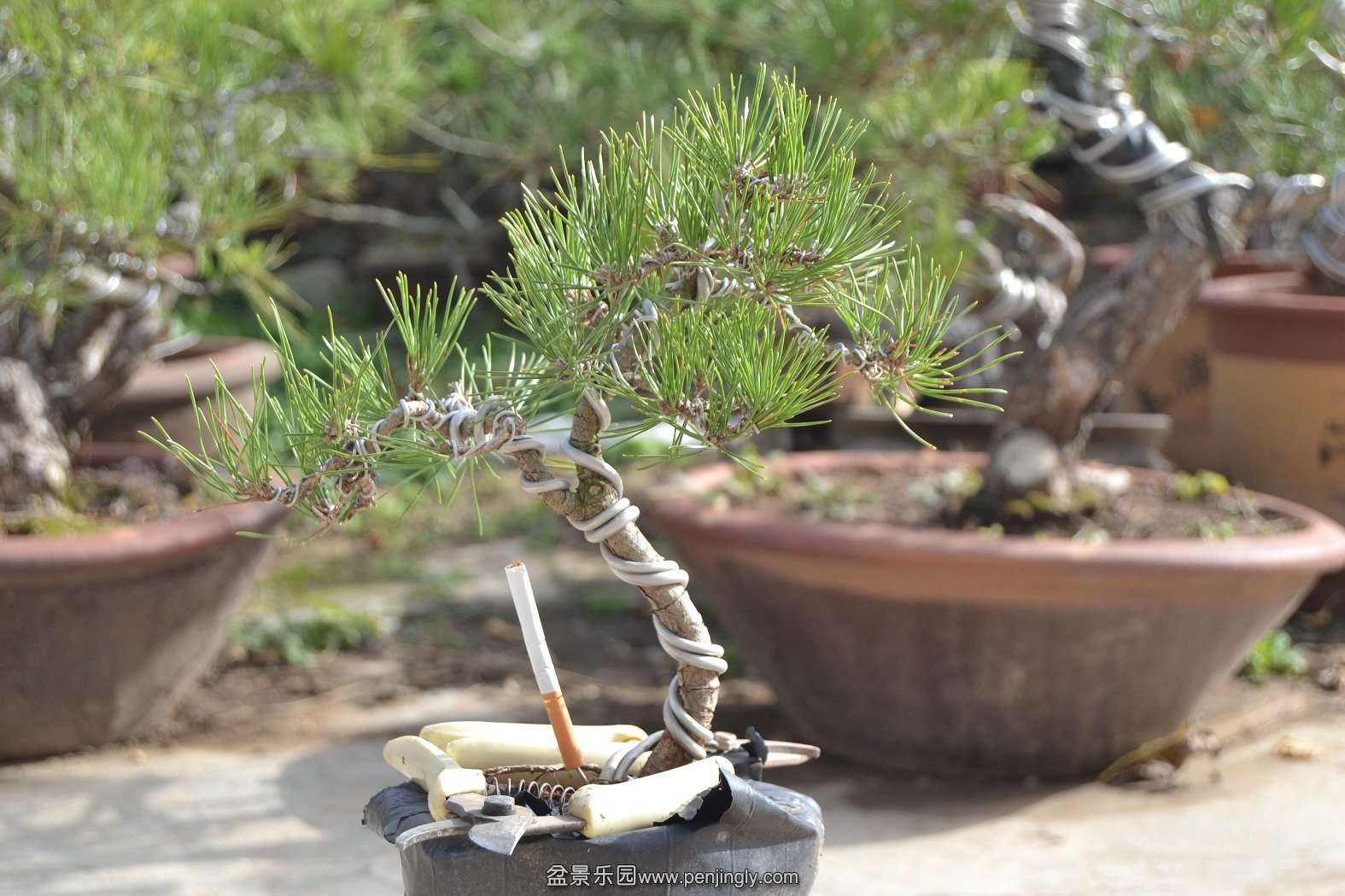 13-11-23СƷ 057.jpg