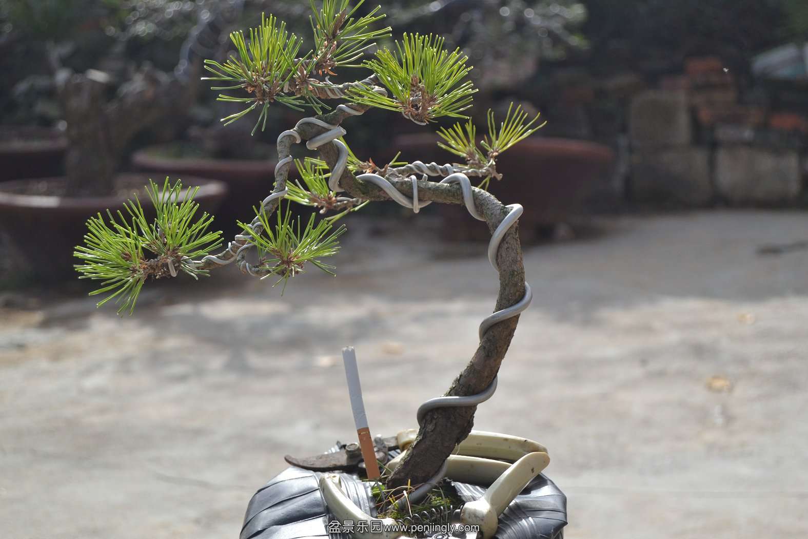 13-11-23СƷ 058.jpg