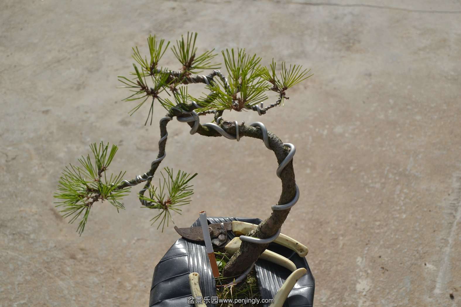 13-11-23СƷ 059.jpg