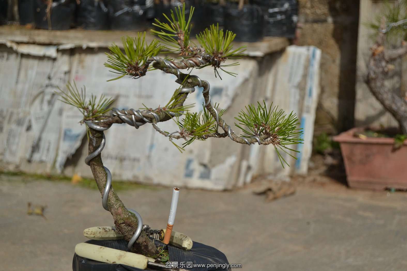 13-11-23СƷ 060.jpg