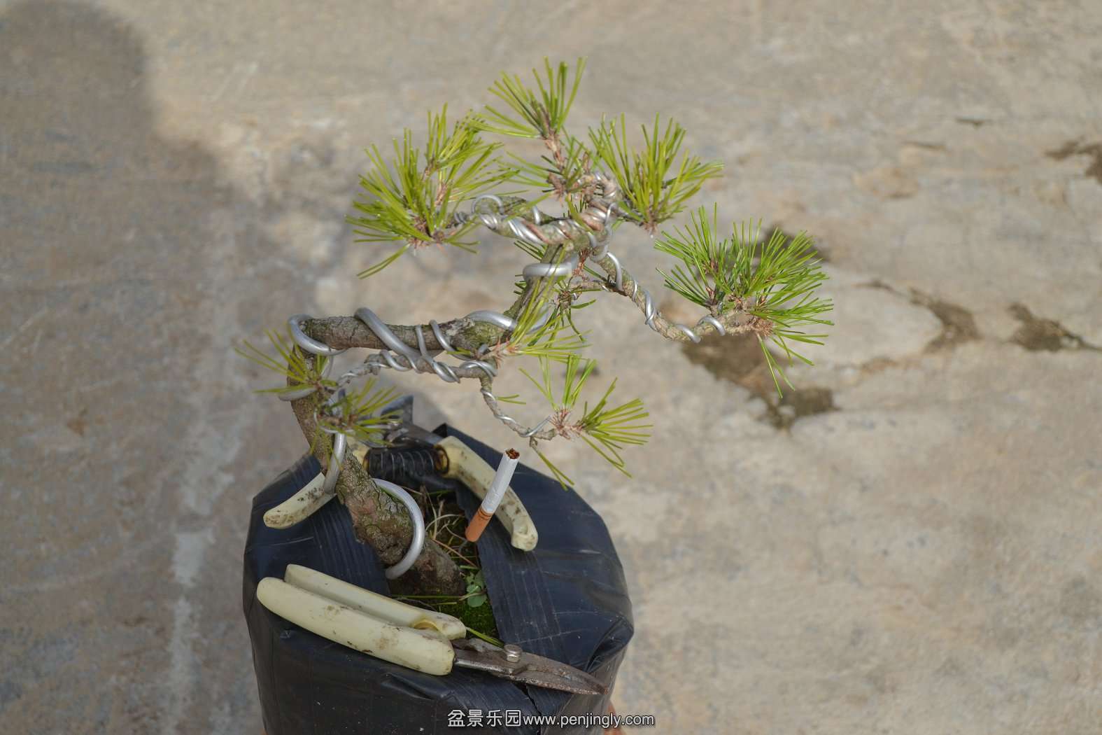 13-11-23СƷ 061.jpg