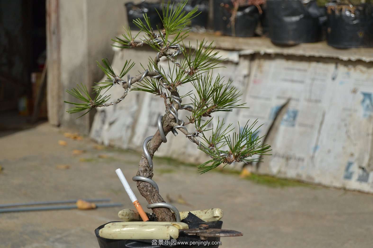 13-11-23СƷ 062.jpg