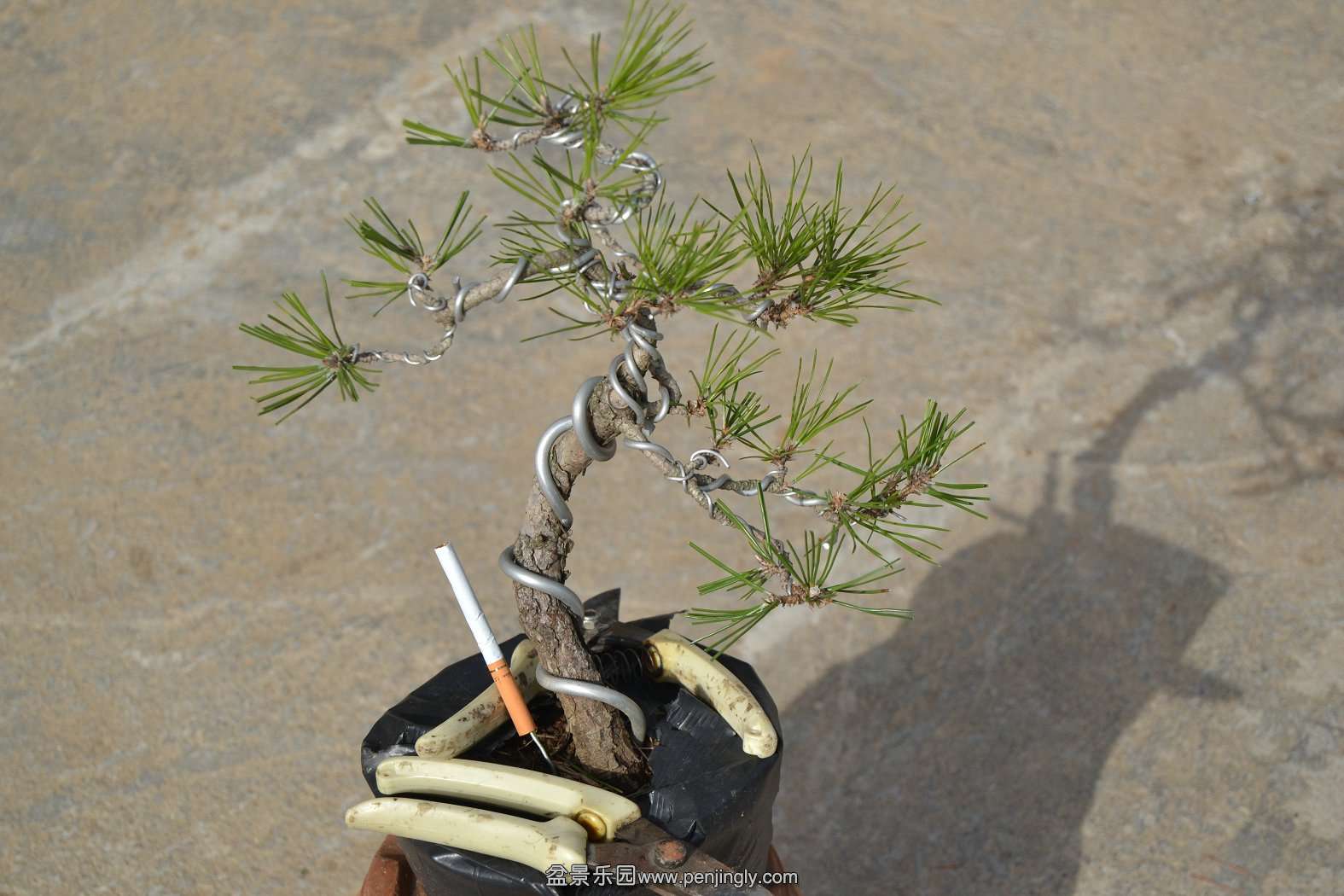 13-11-23СƷ 063.jpg