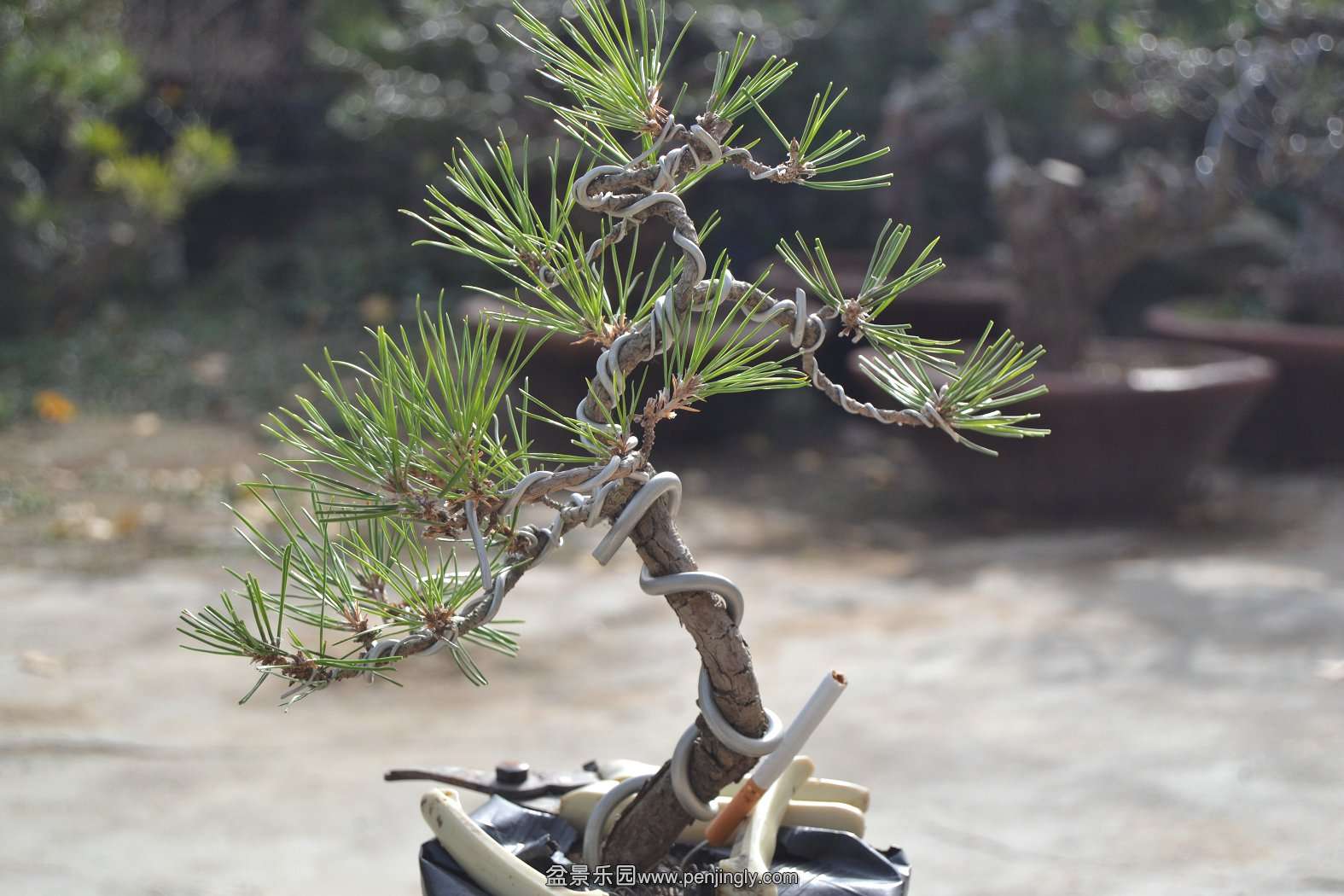 13-11-23СƷ 064.jpg