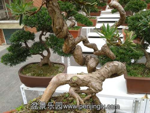 2013-11-26 13.42.01.jpg