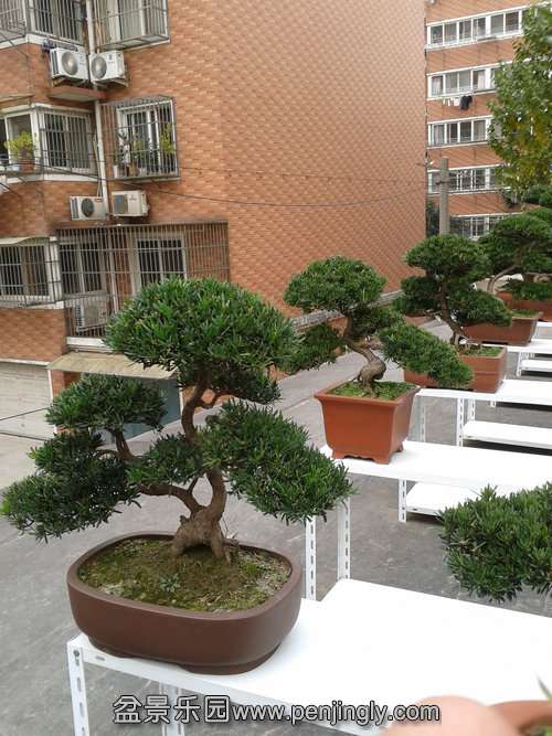 2013-11-26 13.42.12.jpg