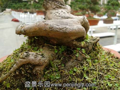 2013-11-26 14.07.56.jpg