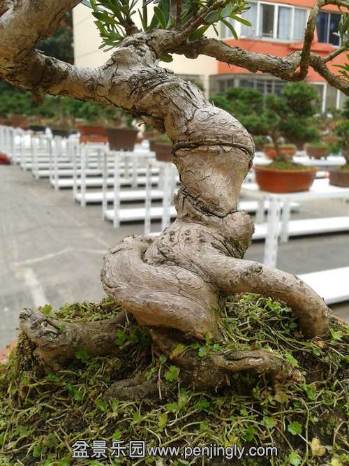 2013-11-26 14.08.22.jpg