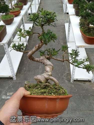 2013-11-26 14.10.23.jpg