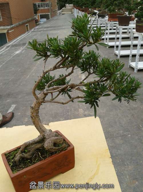 2013-11-26 14.24.56.jpg