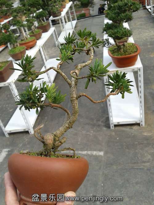 2013-11-26 12.41.00.jpg