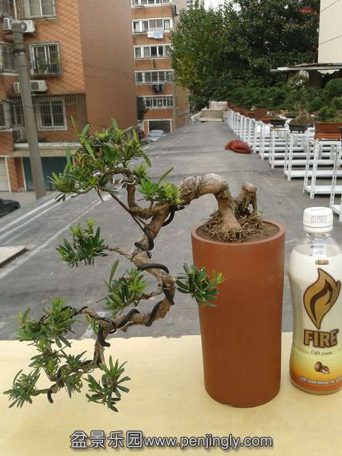 2013-11-26 13.25.34.jpg