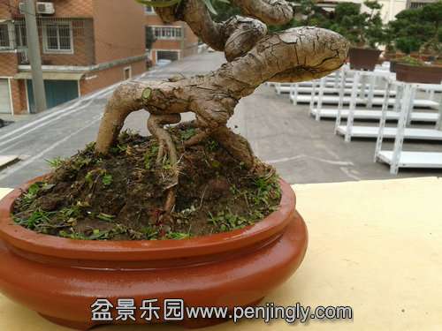 2013-11-26 13.37.25.jpg