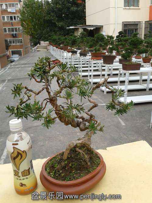 2013-11-26 13.39.06.jpg