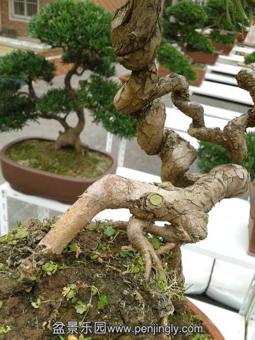 2013-11-26 13.41.01.jpg