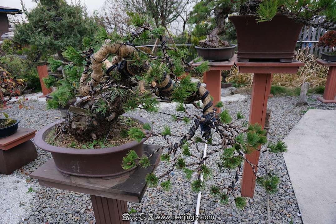 DSC00183.JPG
