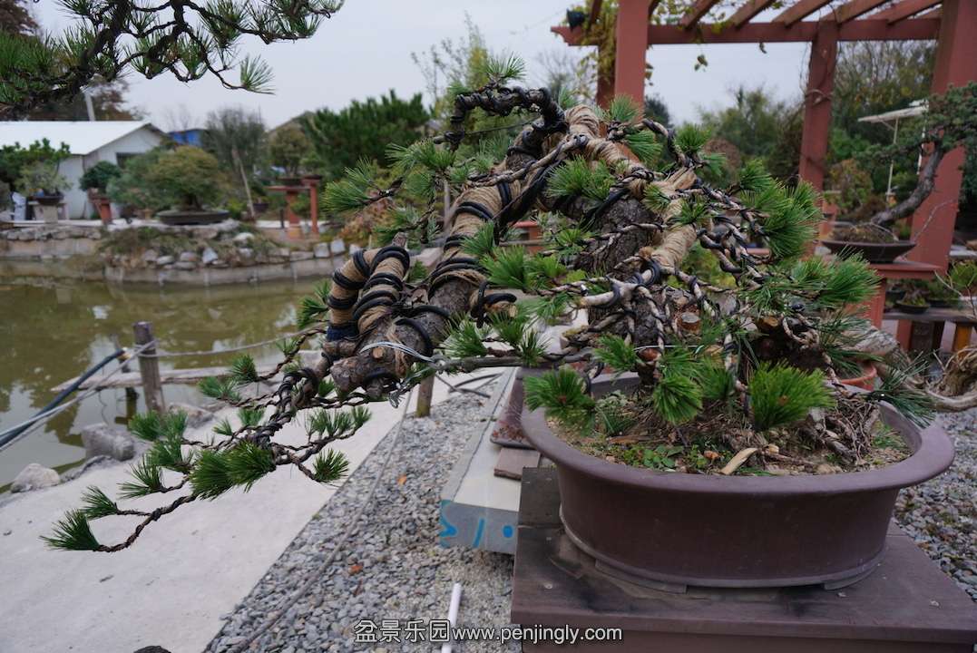 DSC00184.JPG