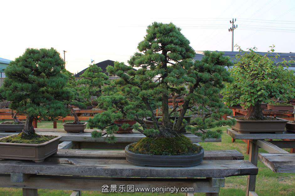 Ƭ 025.jpg
