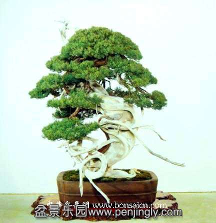 20080428100555.jpg