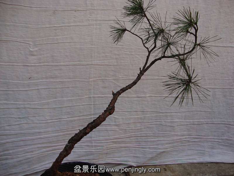 DSC01778_.jpg