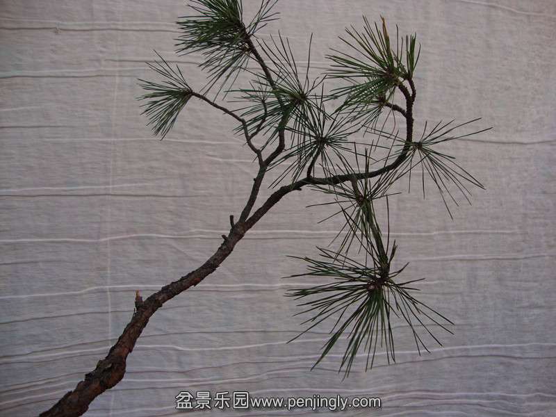 DSC01780_.jpg