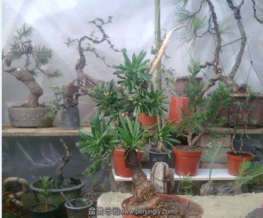 QQͼƬ20131127165245.jpg