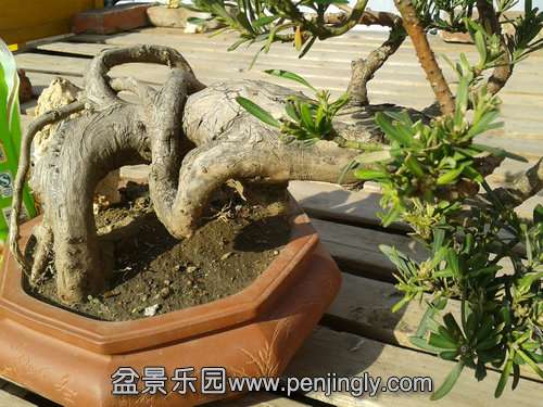 2013-11-28 13.03.56.jpg