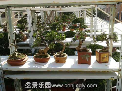 2013-11-28 13.06.52.jpg