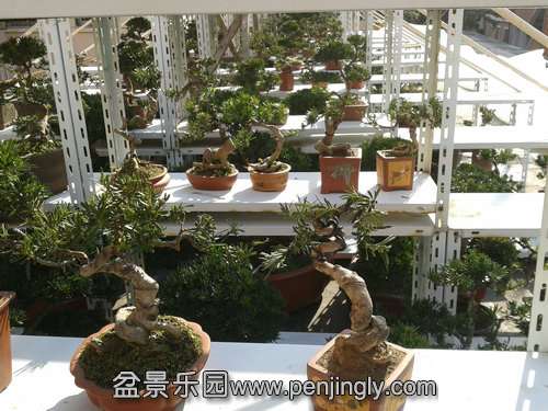 2013-11-28 13.07.21.jpg