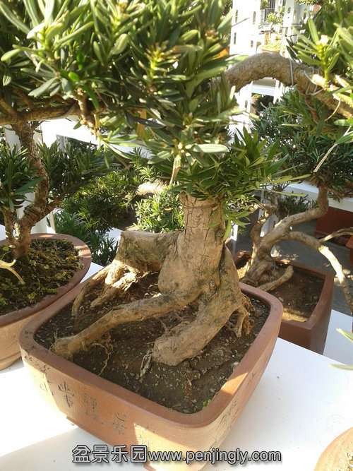 2013-11-28 13.12.50.jpg