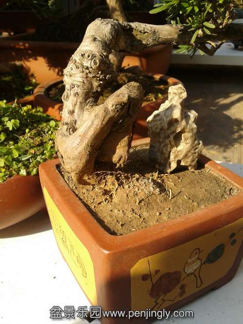 2013-11-28 13.24.21.jpg