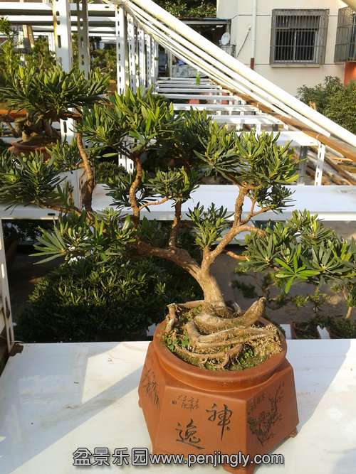2013-11-28 14.15.59.jpg