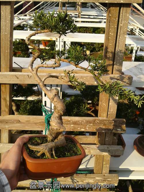 2013-11-28 14.21.09.jpg