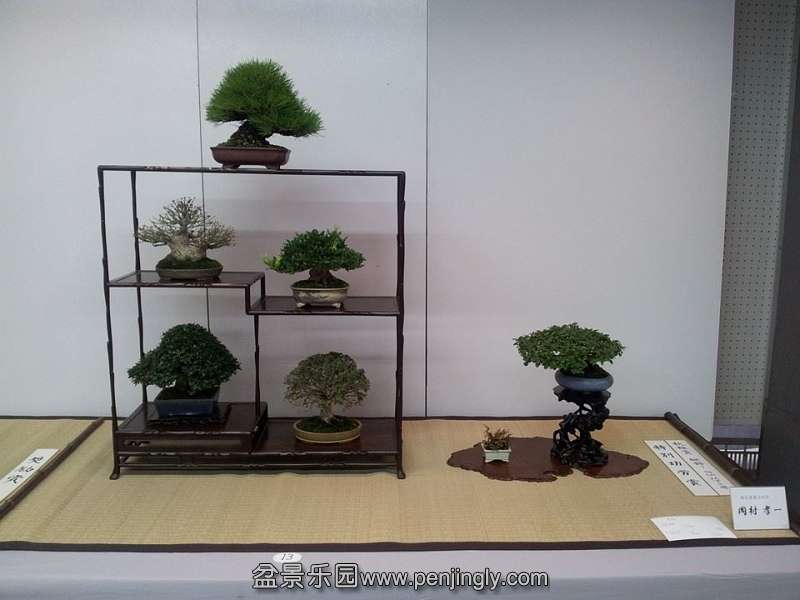 Shuga Ten 01-11-2013 002.jpg