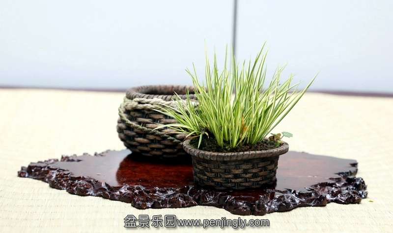 Shuga Ten 01-11-2013 011.jpg