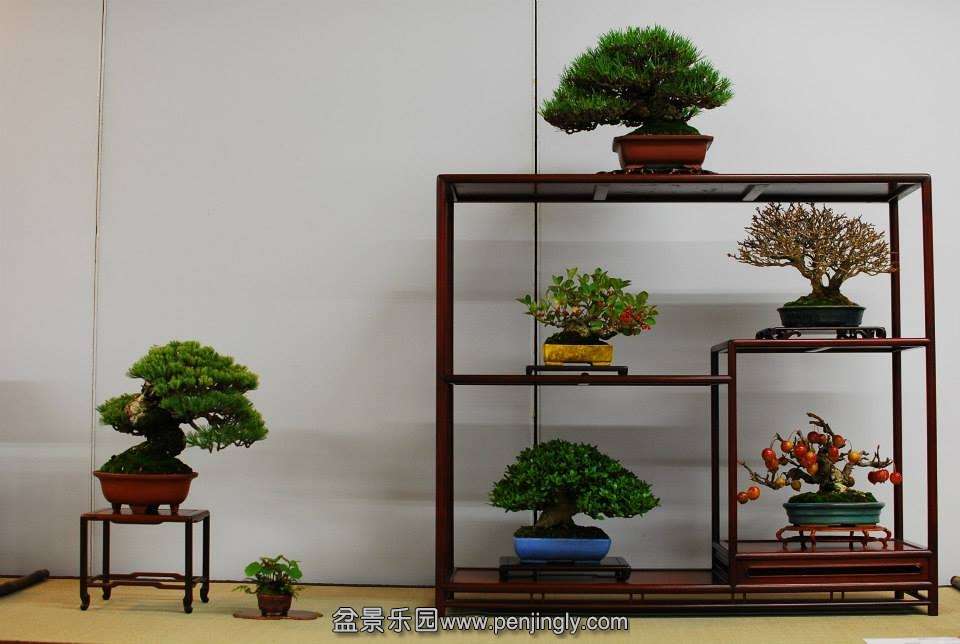 Shuga Ten 01-11-2013 018.jpg