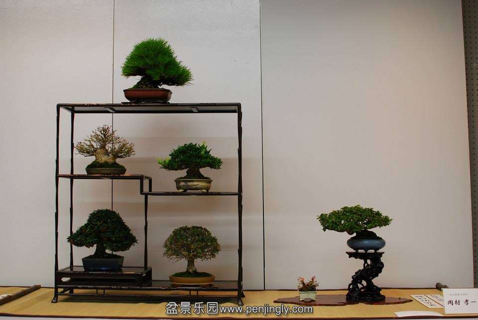 Shuga Ten 01-11-2013 020.jpg