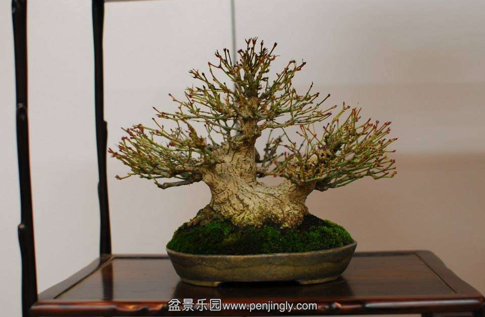 Shuga Ten 01-11-2013 021.jpg