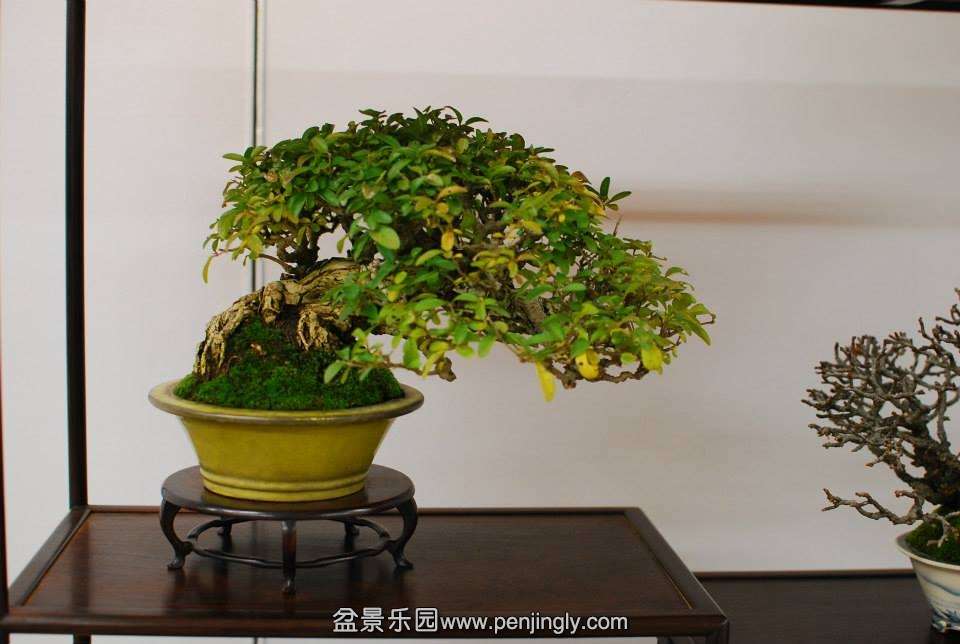 Shuga Ten 01-11-2013 024.jpg