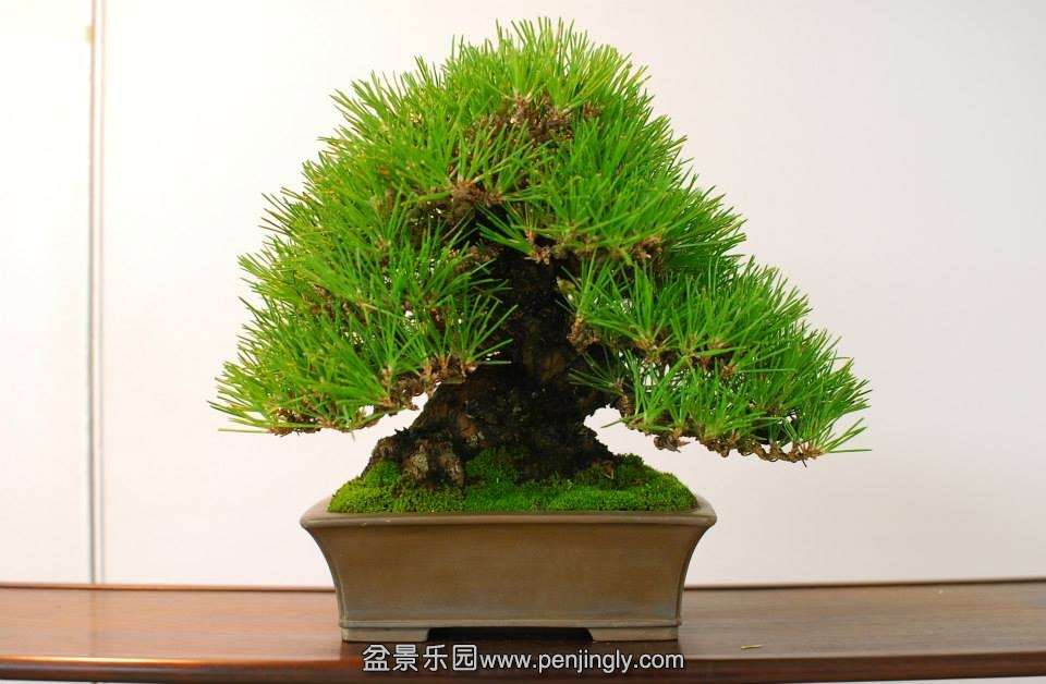 Shuga Ten 01-11-2013 026.jpg